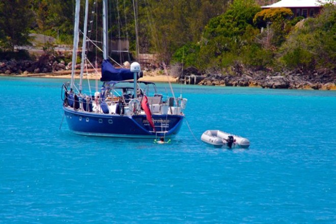 CCA on the blue waters of Bermuda © Ralph Richardson